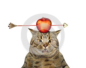 Cat looks at apple with arrow on its head