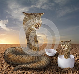 Cat snake and its cub