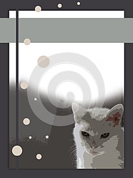 The cat looks at you from the eBook cover