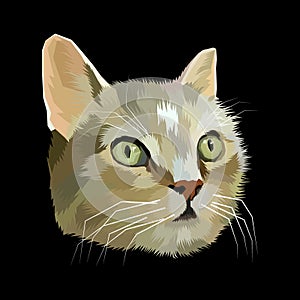 Cat lover pop artportrait premium poster isolated decoration