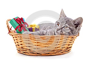 Cat lying in basket with gifts