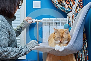 Cat lying on chair near heating radiator, woman regulating temperature