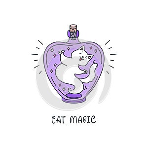 Cat Magic