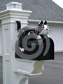 Cat on a mailbox