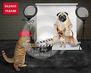 Cat makes movie all dogs are stupid 2