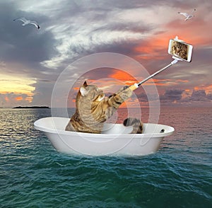 Cat makes selfie in bathtub in sea