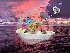 Cat makes selfie drifting on sea