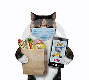 Cat in mask with food and phone 2