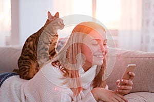 Cat massage animal human bond kitty happy pastime photo