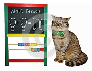 Cat mathematician near a blackboard