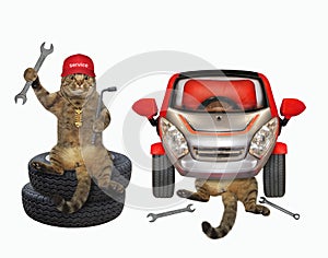 Cat mechanic sits on stack of tires 2