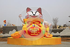 Cat modeling lantern