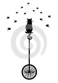 Cat on monocycle with birds, vector photo
