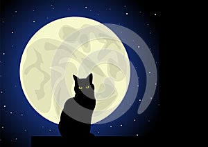 Cat. Moon.