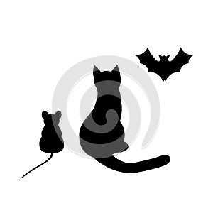 Cat mouse bat