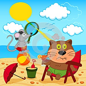 Cat and mouse fool around with on beach