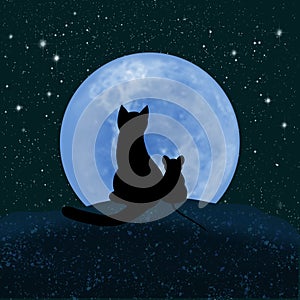 Cat and mouse looking at the moon and the starry sky