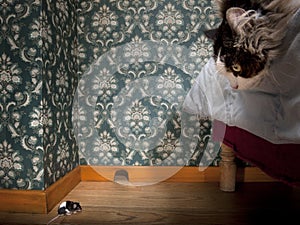 Cat and mouse in a luxury old-fashioned room