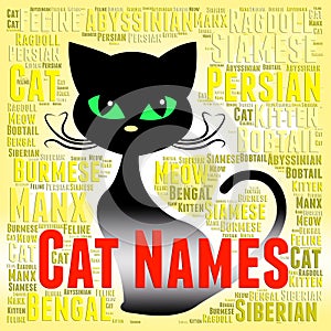 Cat Names Represents Pedigree Pets And Felines