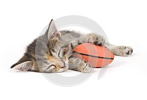Cat nap photo