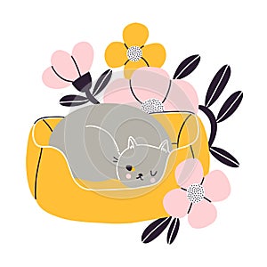 Cat nap corner  grey british cat with flowers  vector illustration