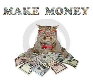 Cat near big pile of dollars 2