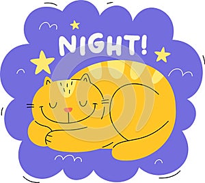 Cat Night Sticker