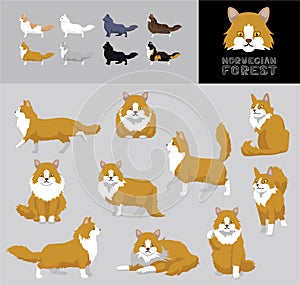 Cat Norwegian Forest Cartoon Vector Illustration Color Variation Set