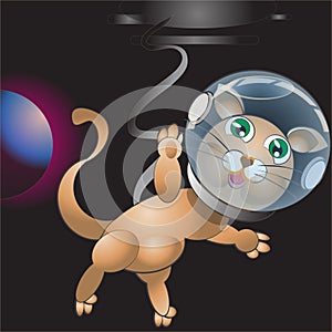 Cat in Outer Space Cartoon Character