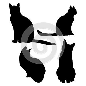 Cat outline on white background