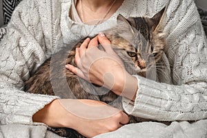 The cat is in the owner's arms. A girl is holding a fluffy cat