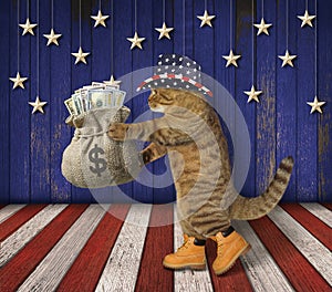 Cat patriot with a sack of money 2