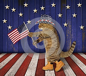 Cat patriot on stage