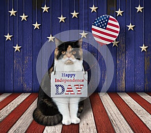 Cat patriotic with a balloon on a stage