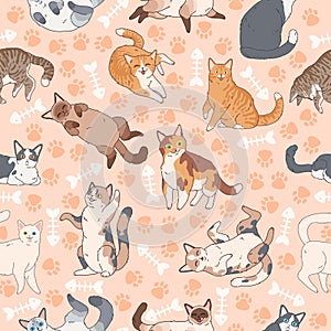 Cat pattern. Seamless texture with cute multicolor cats, kids wallpapers with funny happy pets, fabric textile vector