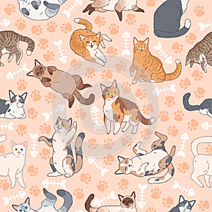 Mačka vzor. bezšvový textúra roztomilý mnohofarebný mačky tapety na plochu smiešny šťastný domáce zvieratá tkanina textilné vektor 