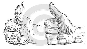 Cat paw and himan male hand showing symbol like isolated on a white background.