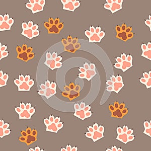 Cat paw print with claws