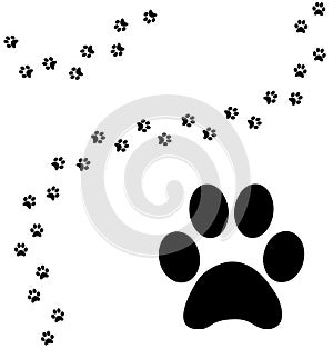 Cat paw print curved path