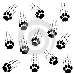 Cat paws with claws and scratches on white background