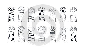 Cat paws. Cute hand drawn dog or kitten claws and paws, cartoon funny kitty and puppy animal foot. Vector isolated photo