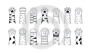 Cat paws. Cute hand drawn dog or kitten claws and paws, cartoon funny kitty and puppy animal foot. Vector isolated