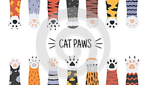 Cat paws. Hand drawn funny puppies and kittens claws and foots, wild animals and pets paws. Vector doodle cartoon dog