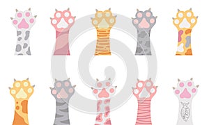 Cat paws, kitten legs, cute cat foot. Vector Illustration for printing, backgrounds, covers, packaging, greeting cards, posters,