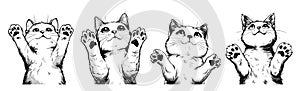 Cat paws up ink sketch concepts. Cute kitty charming look footprints pads fluffy pet animal illustration isolated on