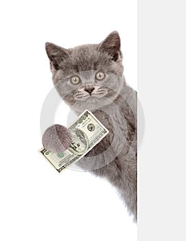 Cat peeking from behind empty board and holding money. isolated on white background
