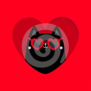 Cat peeks out of a heart hole. Kitten in heart. Happy Valentines day. Heart shape sunglasses, hearts glass. Black kitty kitten.