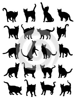 Cat Pet Animal Silhouettes photo