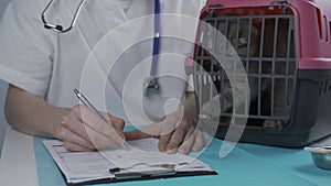 Cat in pet carrier on examination table of veterinarian clinic with pet doctor. Male veterinarian in white medical suit