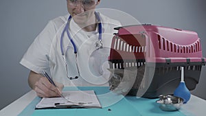 Cat in pet carrier on examination table of veterinarian clinic with pet doctor. Male veterinarian in white medical suit